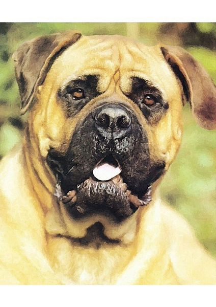 .Hand Painted Effect Bullmastiff DOWNLOAD - 14 Sheets